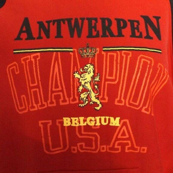 VETEMENTS X CHAMPION Hoodie, M, Antwerpen Belgium, Red/Black, Sweatshirt - Picture 7 of 16